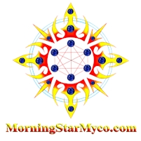 MorningStar Myco MorningStar  Myco