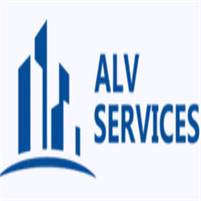 ALV SERVICES LTD ALV SERVICES LTD